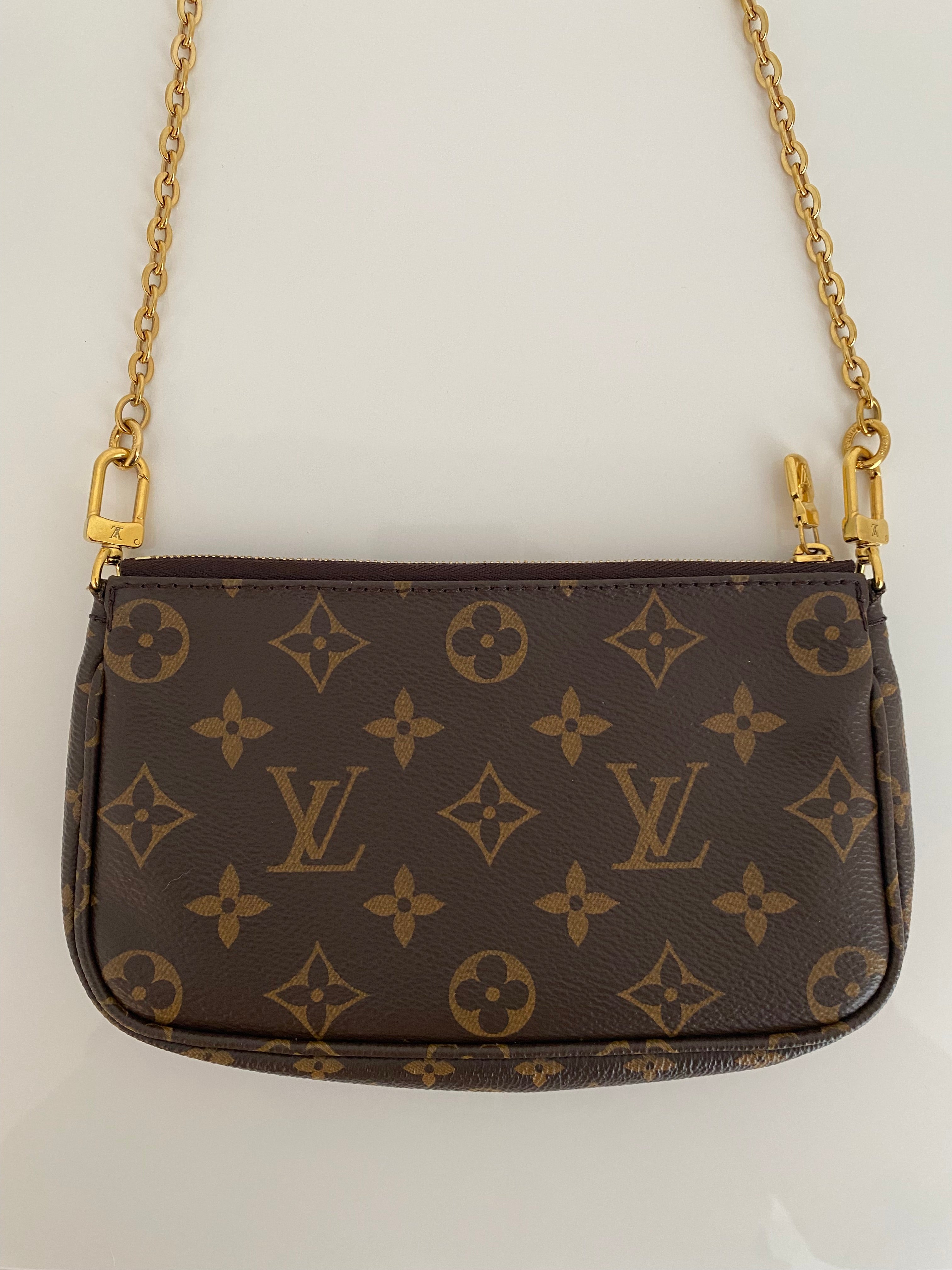 Louis Vuitton Authenticated Multi Pochette Accessoires Handbag
